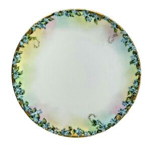 Imperial Austria PSL Antique Empire Hand Painted 6" Plate Light Blue China Dish